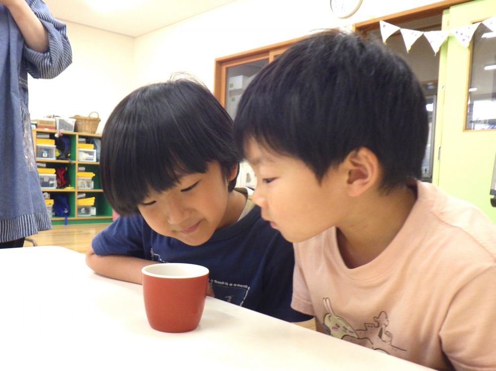 中の梅が腐らないようにりんご酢を入れました！
りんご酢を匂ってみると・・・
｢うわっ！｣
匂いに驚く姿がみられました！

最後にキリン組で梅ジュースの名前を決めました！
Y君の案で【うめまん】に決まり！
【うめまん】に｢おいしくなーれ｣とみんなで伝えました！