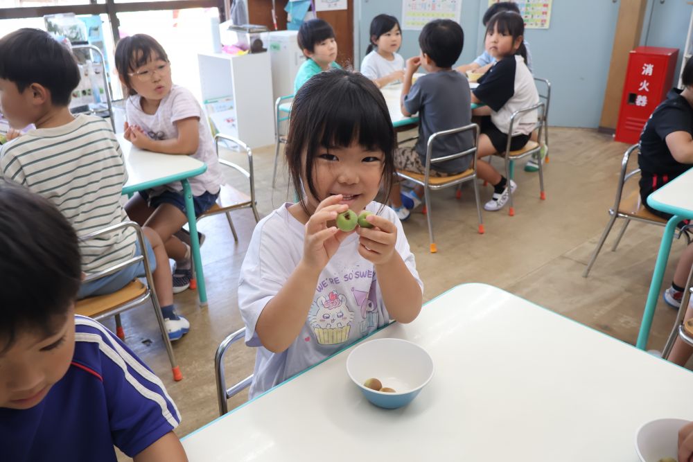 梅をしっかり洗った後は
爪楊枝で黒い部分を取ります！！
「見て、とれた♡」

その梅と一緒に入れる氷砂糖
「え！！氷なのに冷たくない！！」
「固い！！宝石みたい！！」　「石じゃない？」
普段見る事のないものに目を輝かせるみんな
名前に氷がついているから
冷たい…？と思ったのかな😊