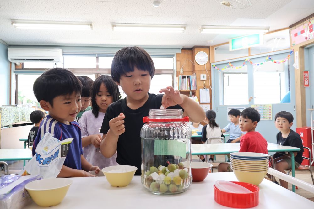 この梅ジュース作りを楽しみにしていたKくん
梅と氷砂糖を一つずつ丁寧にいれていました♡

乾杯はお泊り保育で…♡
と、楽しみにしているキリン組さんです！！