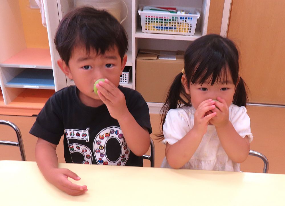 旬の果実、梅
「どんな匂いがするのかな？」