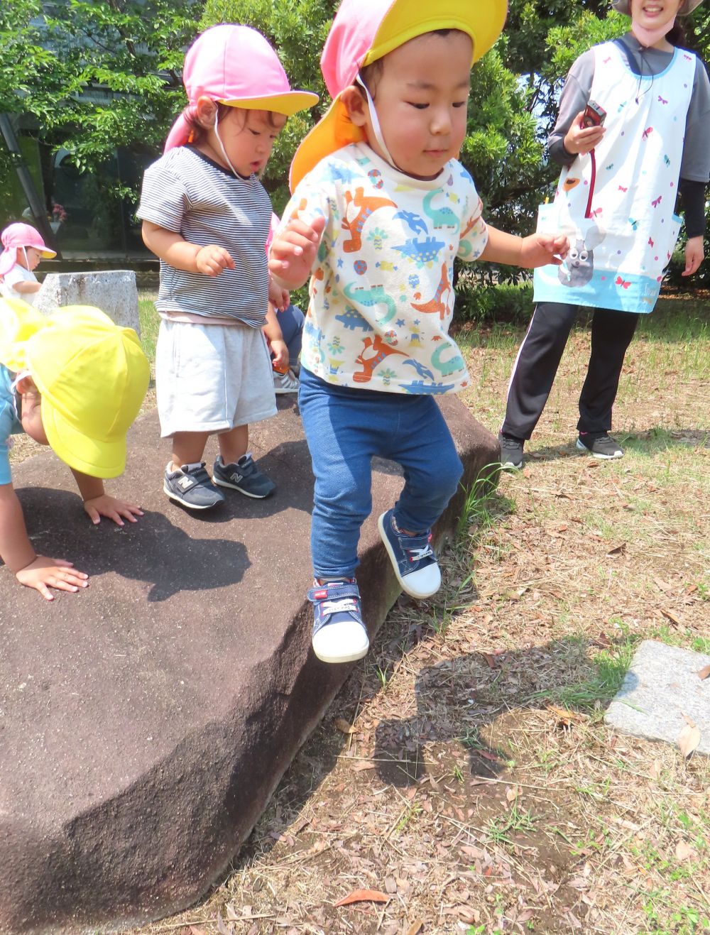 🐤小さな岩から大ジャンプ！！