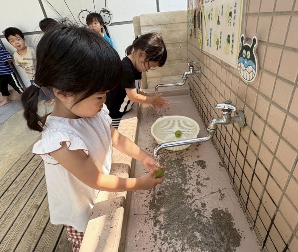 今年も梅シロップを作ろう♬

梅を洗って…
