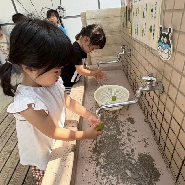 梅シロップを作ろう！　 ～2歳児　 クマ組～