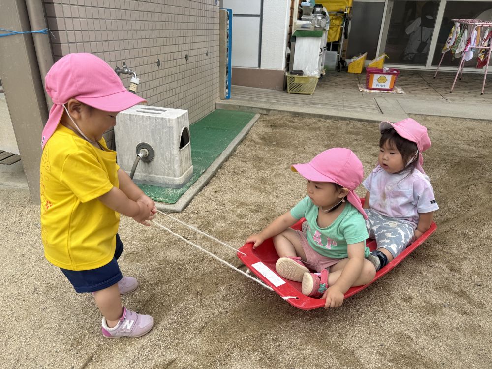今度は乗る側から引っ張る側に挑戦！！
重たくてなかなか進まず･･･

けど諦めず一生懸命引っ張る姿がかわいかったです💖