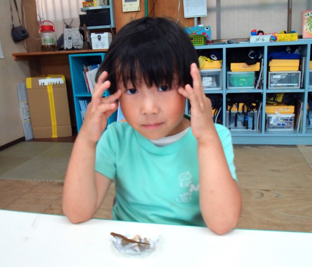 キリン・ゾウ組さんは実際に昆布といりこを食べて味わいました

子どもたちは「かたいねー」「いい匂いがする」「お魚の匂いがする」といろいろな発見をしながらよく噛んで食べました
昆布やいりこは噛み応えがあるので自然に噛む回数が増えます

噛むとこめかみの辺りが動きます
確かめながらかみかみ・かみかみ・・・

「よく噛むと美味しいねー」
「まだ食べたい～」
