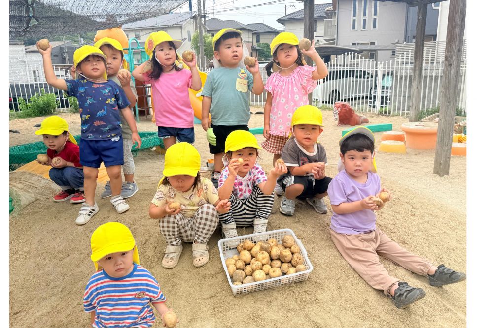 こんなにたくさん掘れました🥰

リス組のみんなに届けー！
こんなに大きく、たくさん出来たよ✨️

