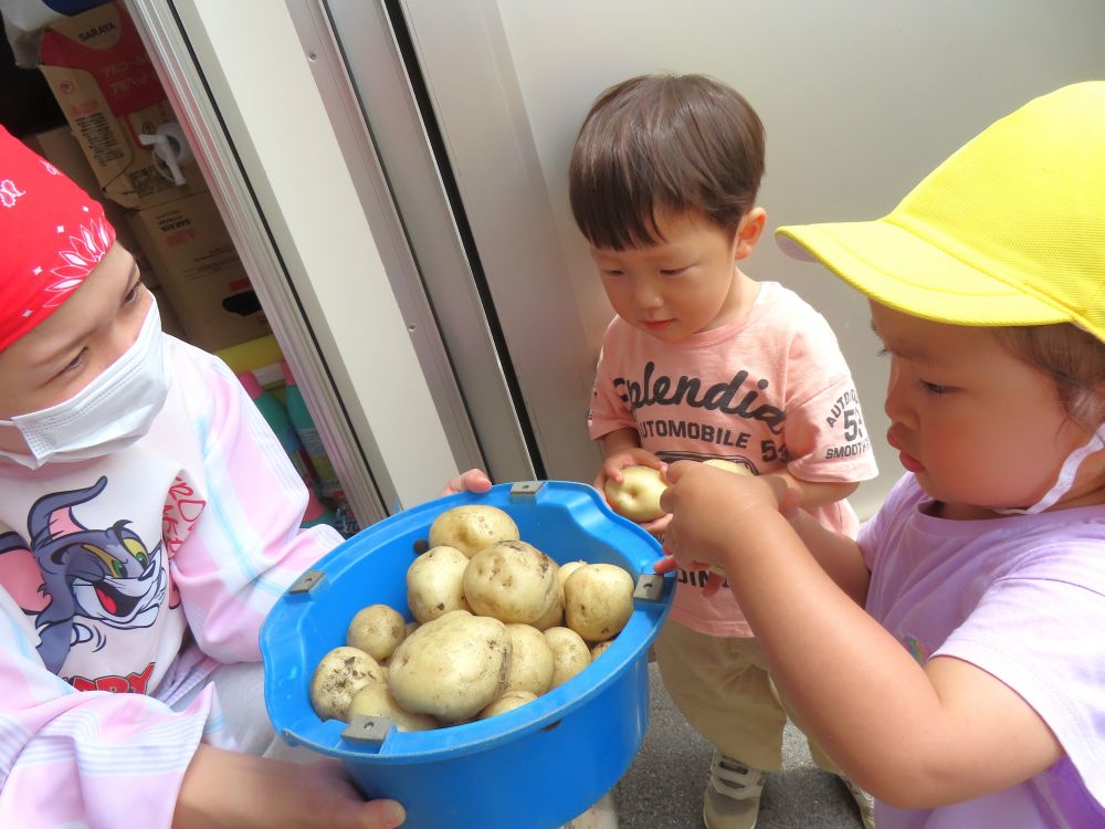 収穫したジャガイモを
給食室にお届け♪

「なに作ろうか？
　楽しみにしててね😊」