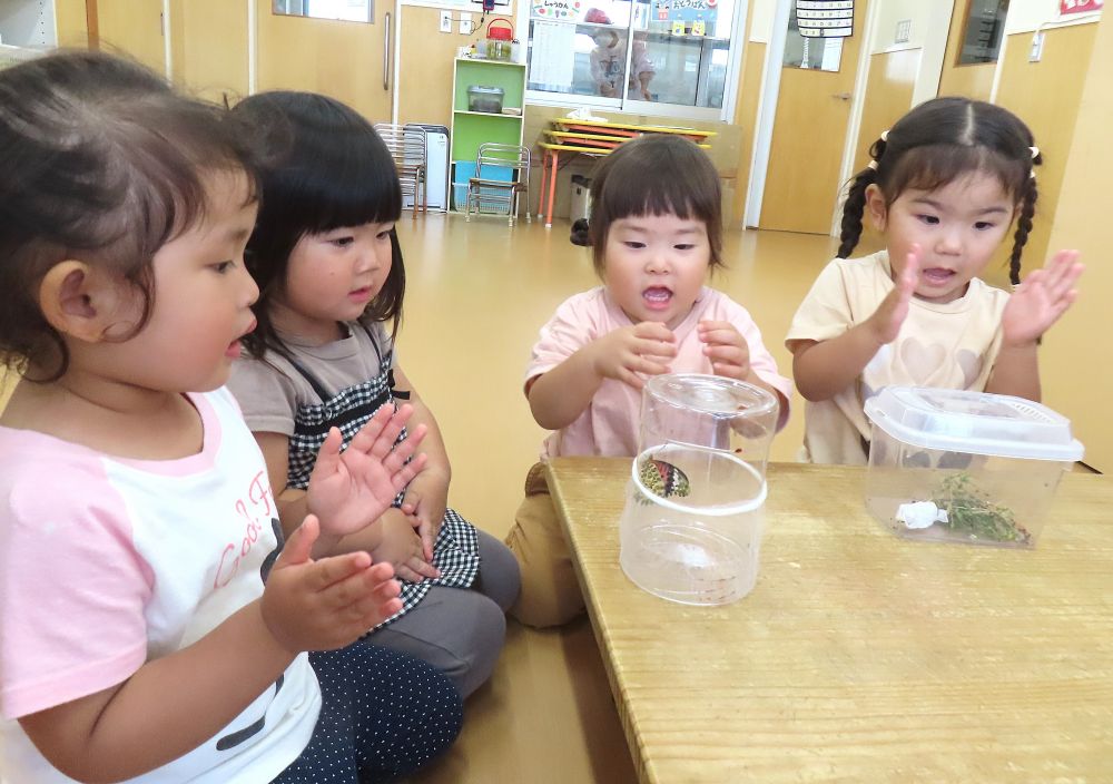 幼虫から育てたツマグロヒョウモンが
ちょうちょになりました🦋

「♪ハッピバースデー
　　　ちょうちょ～♪」