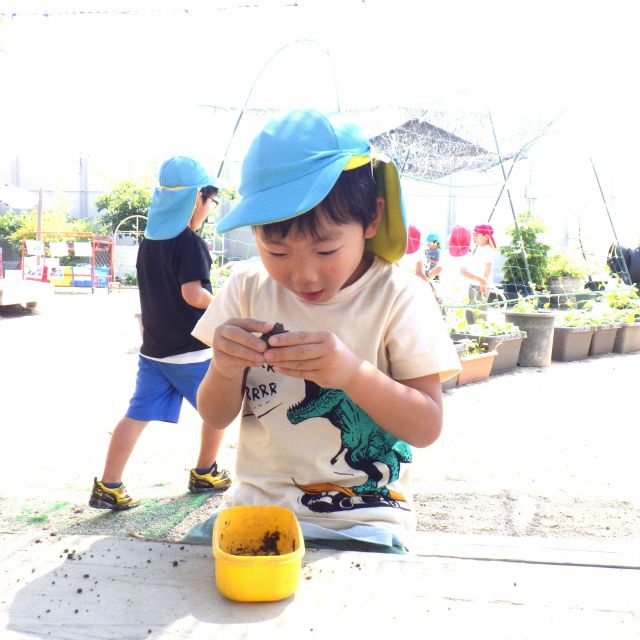 *　5歳児　土ねんどで遊んだよ　＊