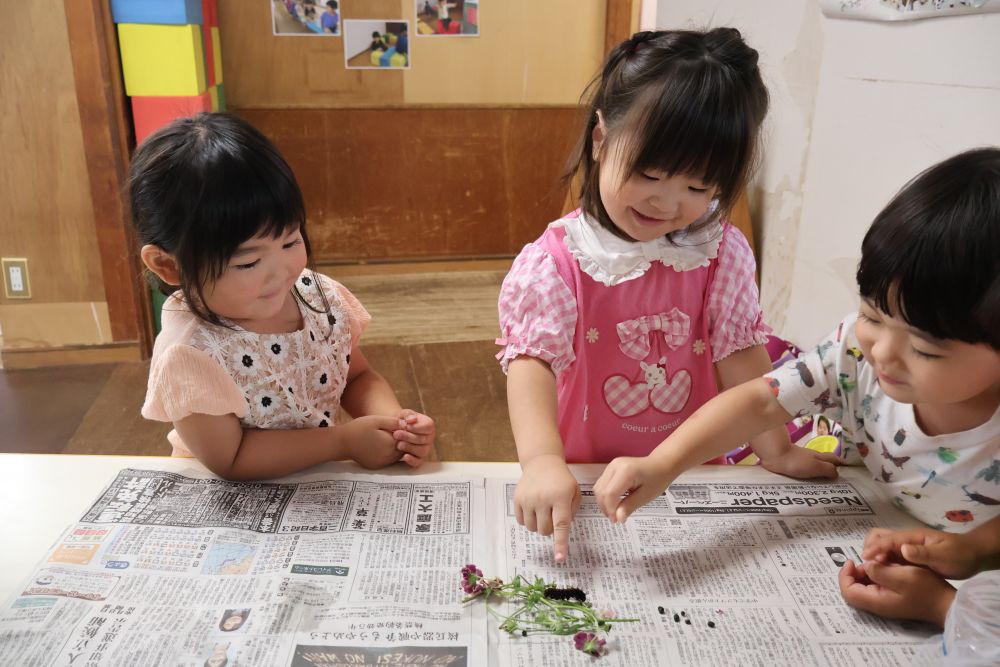 リス組さんの部屋には、ドジョウが１匹、メダカが１匹、カタツムリが２匹暮らしています。
この度、ツマグロヒョウモンの幼虫１匹と赤手がに１匹、そしてカタツムリが３匹、新しく仲間に加わりました！

ツマグロヒョウモンの幼虫が気になる様子のRちゃんとSちゃん。
触ってみたいけど・・・何だかチクチクして痛そうだし、でも触りたい～
そんな様子を見ていたHくんが「Hくんさわれるよ～」と触っていると、ドキドキしながら指を伸ばすRちゃん。「痛くなかったよ」
触れたことがうれしくて「Rねぇ」と何度も教えてくれました🎵

ビオラの葉っぱをたくさん食べて、早くチョウチョになってね。