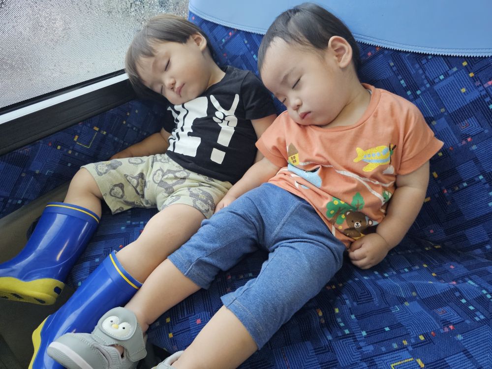 景色を満喫したあとは……
バスの揺れが心地よくてウトウト
同じポーズで眠る、I君とG君でした😴

思いっきり楽しみました！
