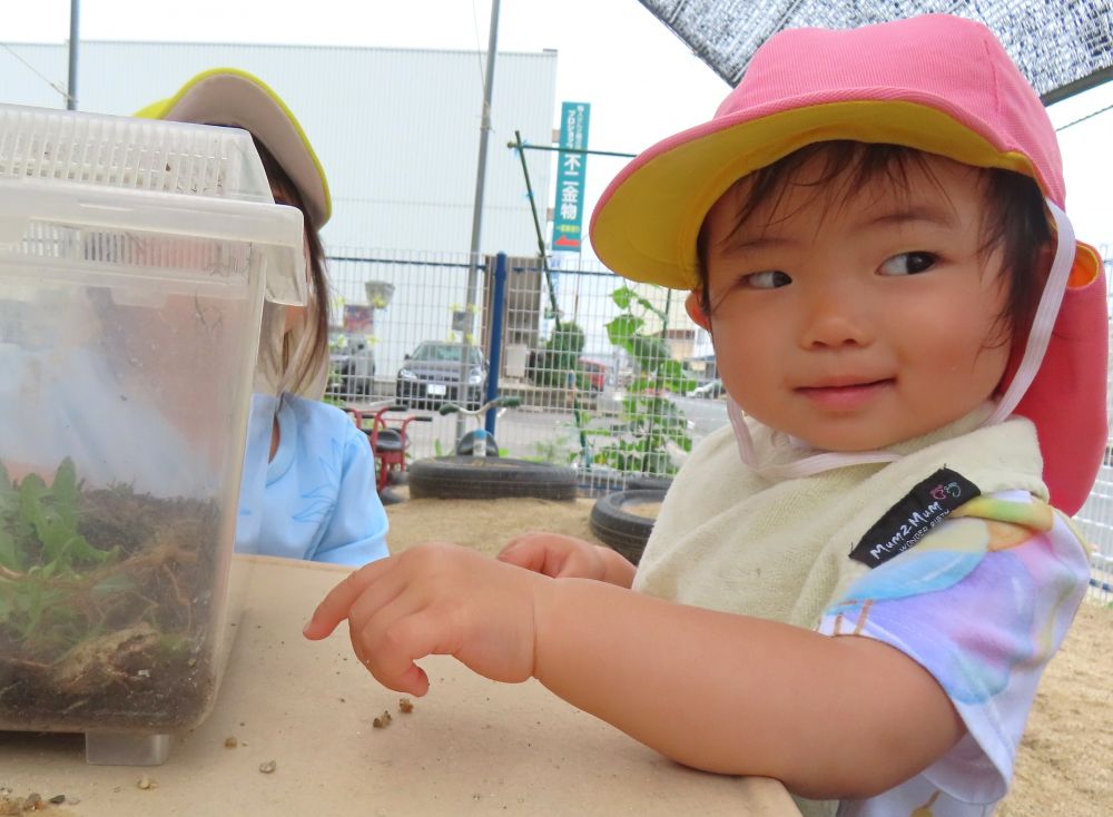 保育園には、いろいろな虫さんが
遊びにきてくれます💗
「カエル🐸‼」