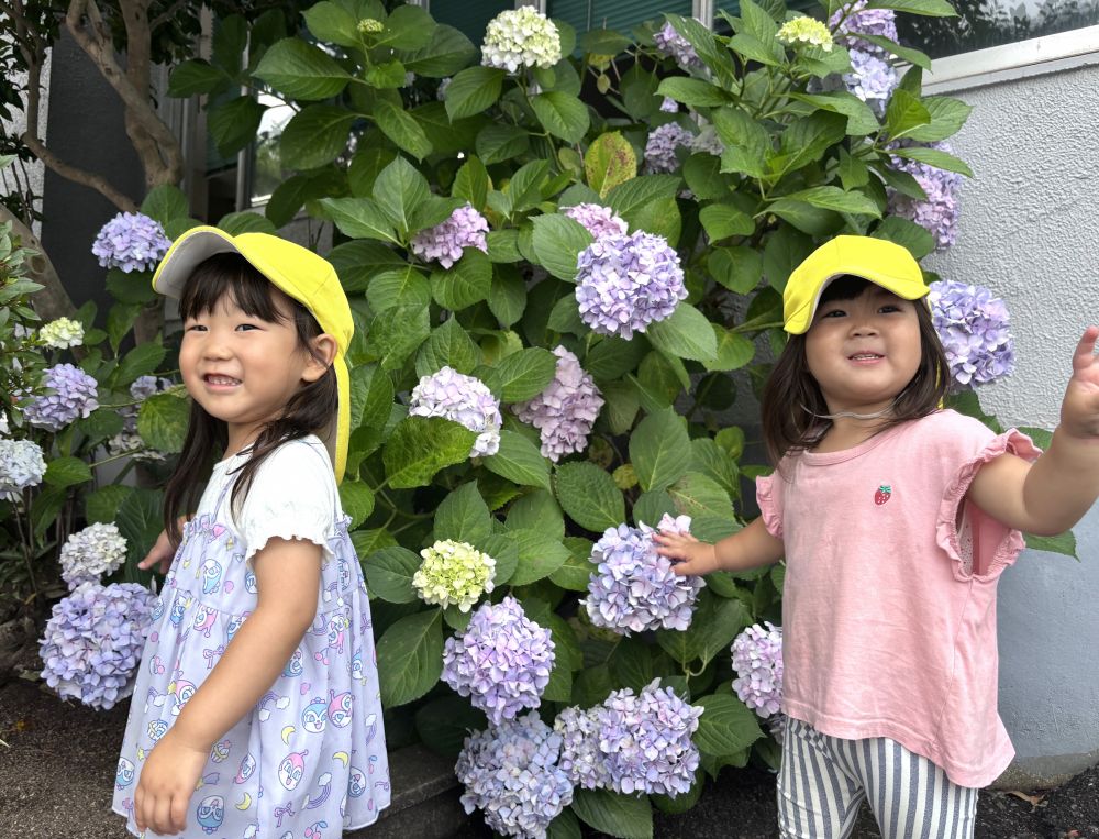 「あじさい、きれい💕」
「持って帰る？」って、もらっちゃった😊
