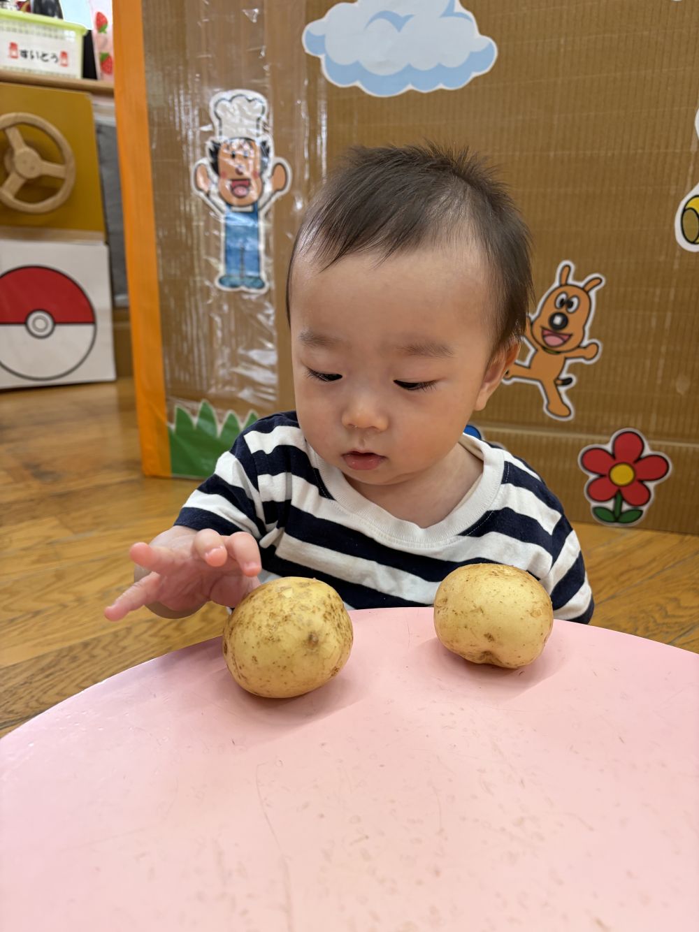 クマ組さんが収穫したじゃがいもを
見せてもらったよ。

自分から手をのばして慎重にさわるOくん。
