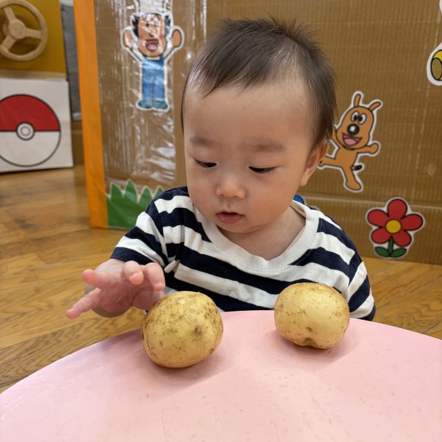 じゃがいも🥔　～０歳児　ウサギ組～