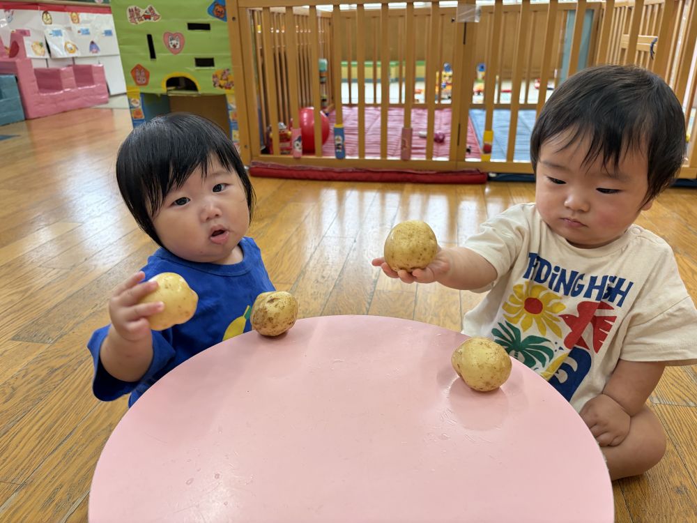 2人ともしっかりじゃがいもをもっていましたよ😊