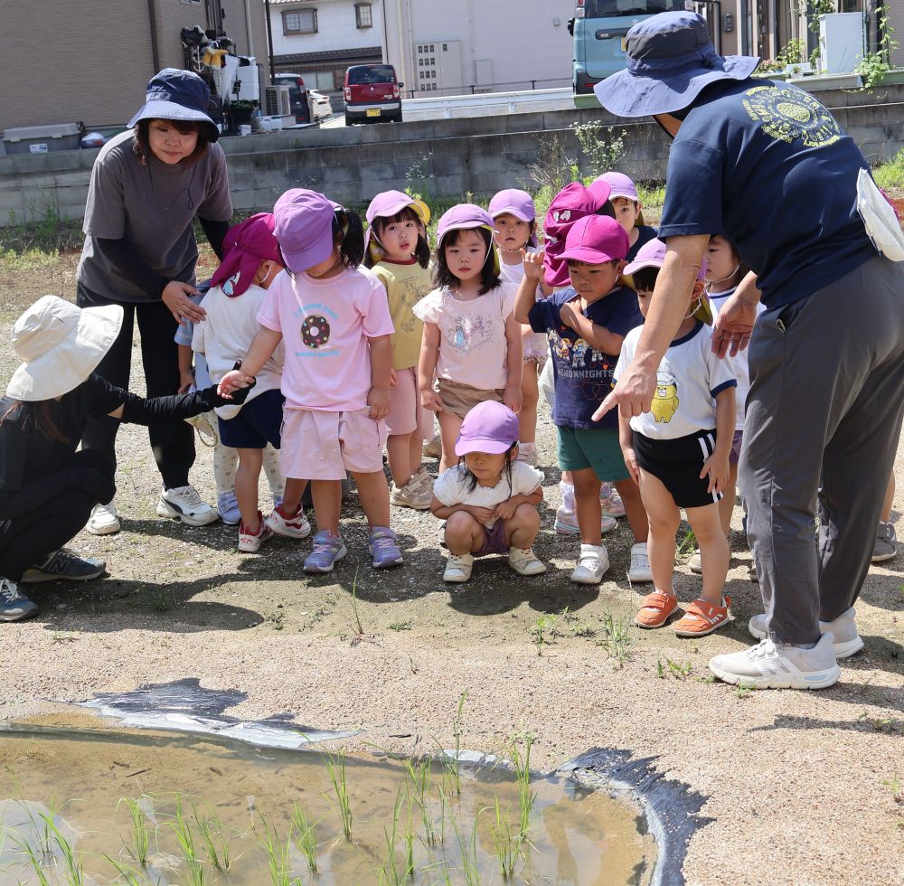 しばらく続いた雨も上がり、久しぶりの外遊びで嬉しそうなリス組さん！！
園庭で遊んでいると・・・

｢うらの田んぼに、おたまじゃくしがおったよ！行ってみる～？⭐｣
との誘いをうけて、ワクワクしながら田んぼへ🌾
