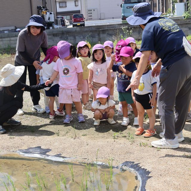 仲間がふえたよ！　➁　　　＊3歳児＊