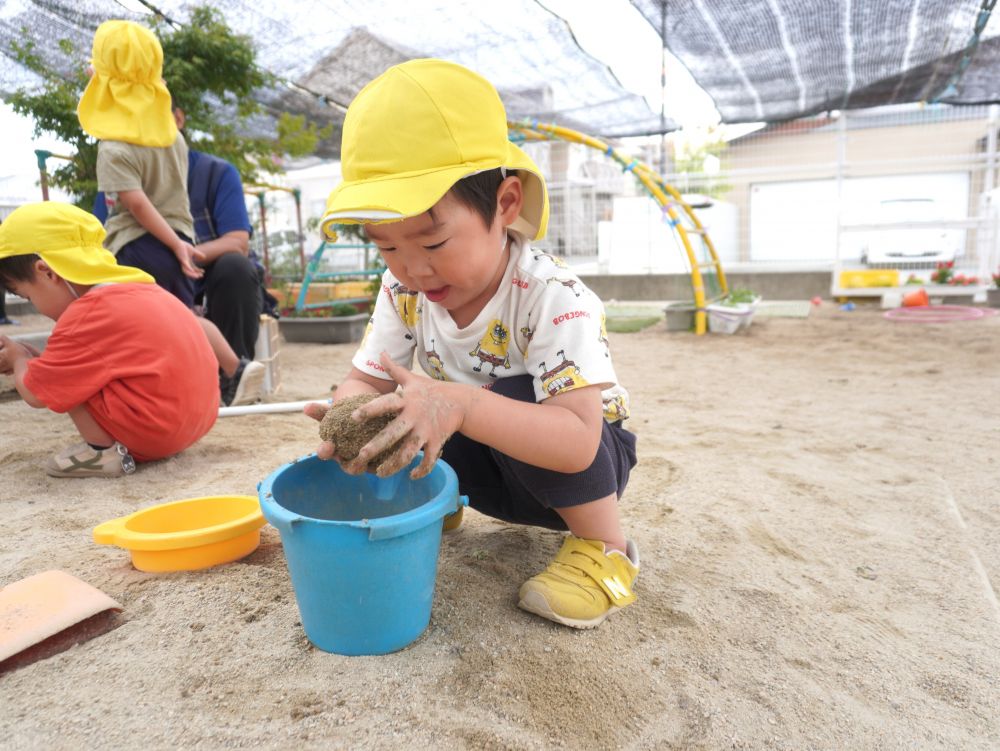 興味をもったことをやってみて
明日へ…　また明日へ…
遊びが継続される・・・
”夢中になれる”って素敵です♡



どろだんご作りブームが到来！！
砂と水を混ぜて泥を作って
にぎにぎ・・　ぎゅっぎゅっ・・♡