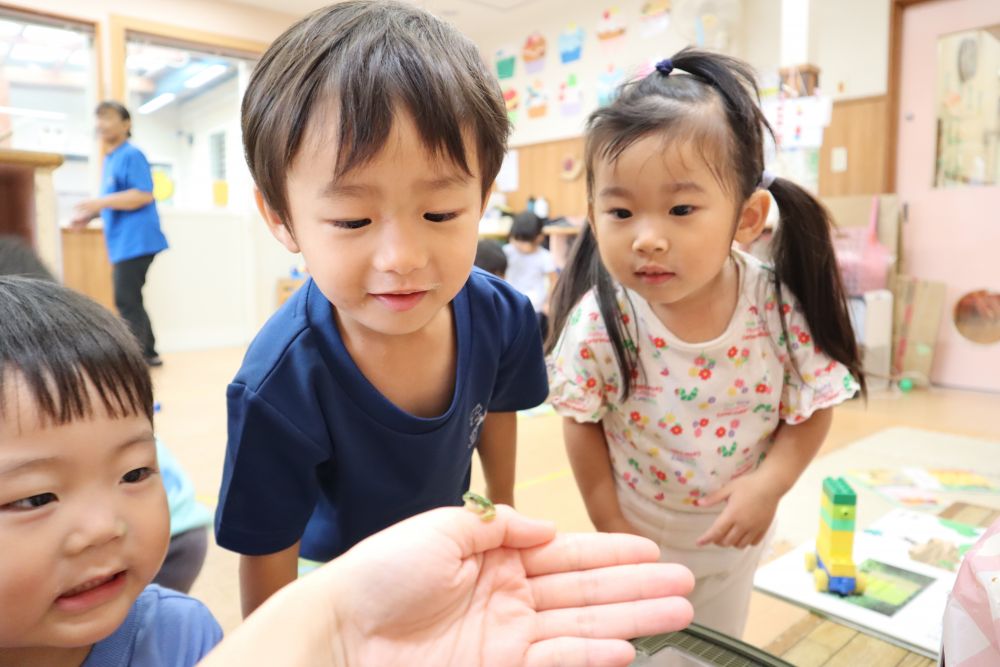 「わあーちっちゃい！！」
「ぴょーんって飛んだ！！」
「びっくりしたね～」
「かわいいねー♡」
虫かごの外だと近くでよく見えておもしろい！！