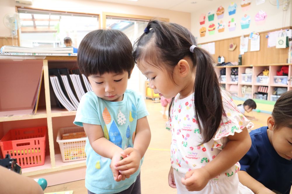 カエルをそーっと手の中に入れてあげる♡
虫かごに入れて観察するだけでなく
触れ合うことも楽しみたいです♡