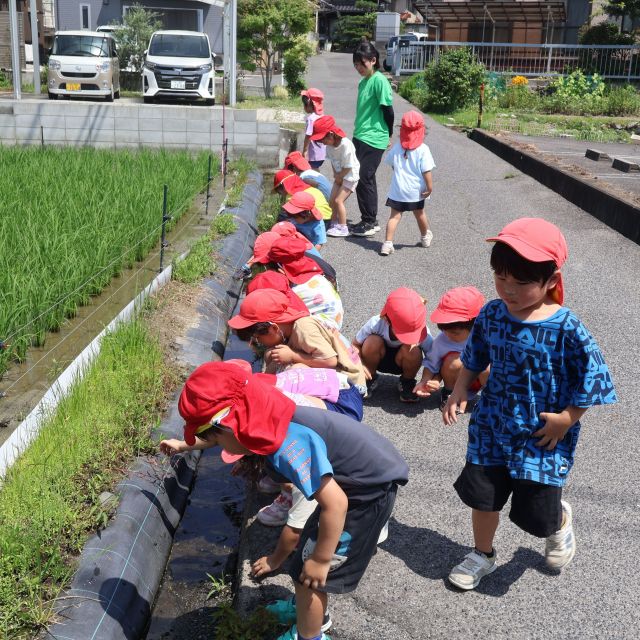 おたま♪　＊４歳児＊