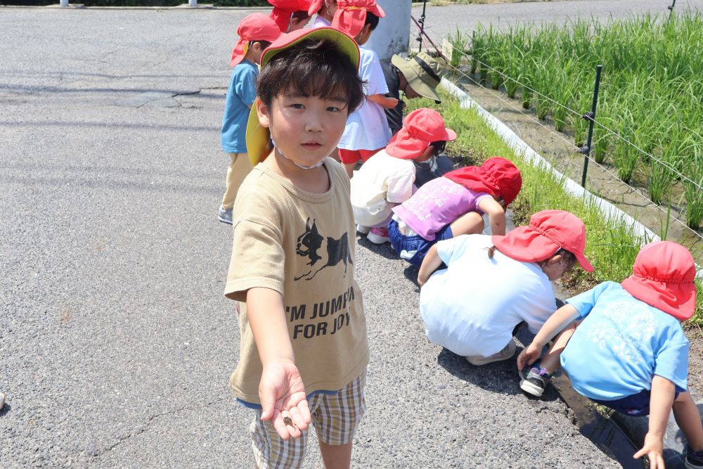 「やったー！おたま捕まえた✨」

今日は様子をみるつもりで
網も入れ物も持ってきていませんでしたが
素早くにげるおたまじゃくしとカエルを
自分たちの力で捕まえたゾウ組さん！
その瞬発力に大人もびっくりです！


様々な季節の移り変わりの中で
子どもたちが自然と触れ合い
心動かされる経験を
これからもしていきたいと思います😊
