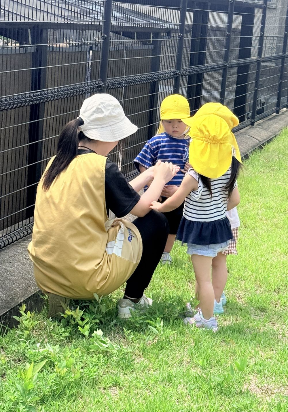 公園には、虫もたくさんいたよ🔎

「捕まえたよー！」
先生の手の中には…
小さなバッタがいたよ🦗