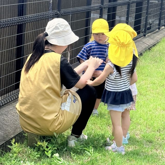 虫探し 　～2歳児　 クマ組～