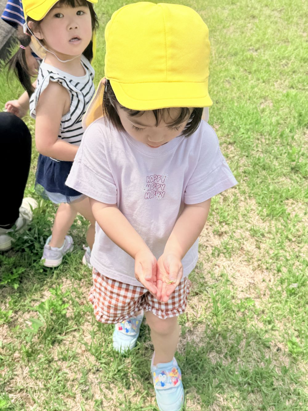 久しぶりの公園で、
みんなとっても喜んでました🙌

これからもっと暑くなるので、
中々散歩は難しいですが、
夏の生き物を、探すのもいいですね～