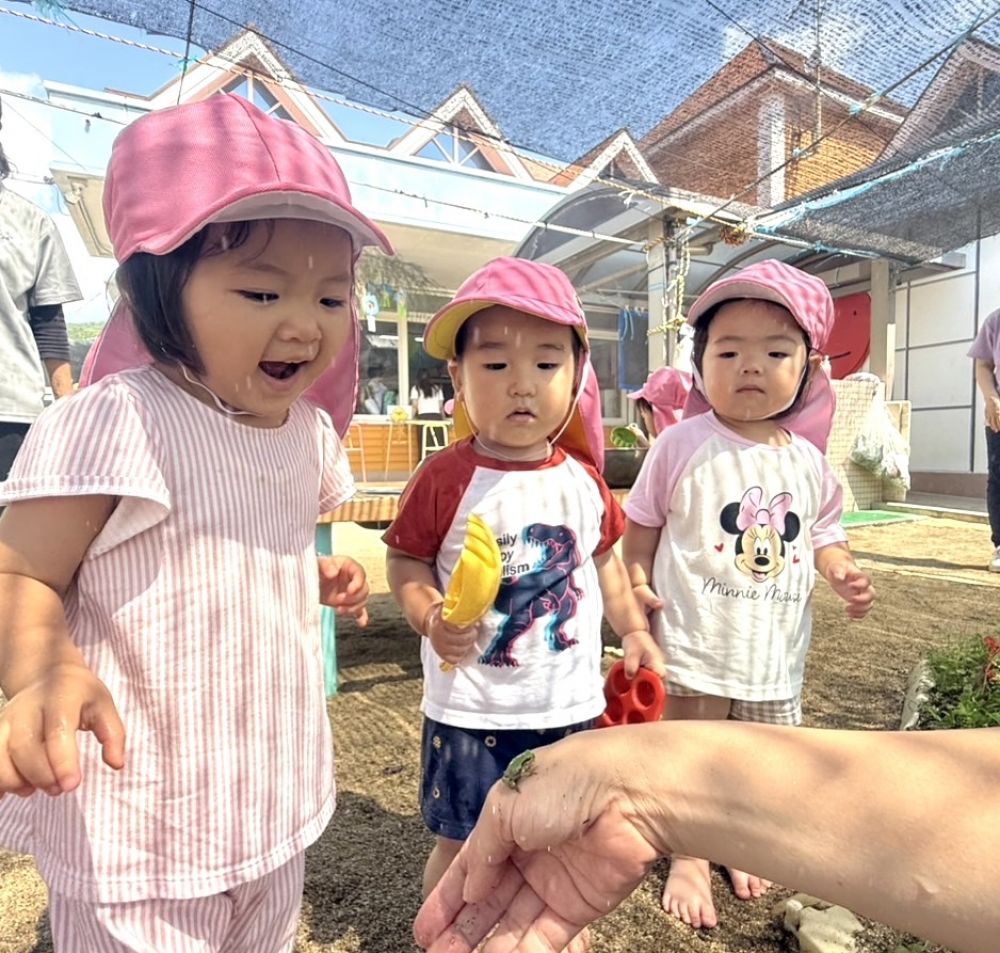 園庭の花壇でカエルを発見！！
近くまで行って一緒に観察中…


『カエル！！』『ちっちゃい！！』
カエルの大きさや、ピョンっと
飛び跳ねる動きを見て楽しみます！