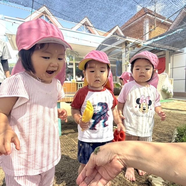 カエルみーつけた！🐸 　 ～1歳児　 ヒヨコ組～