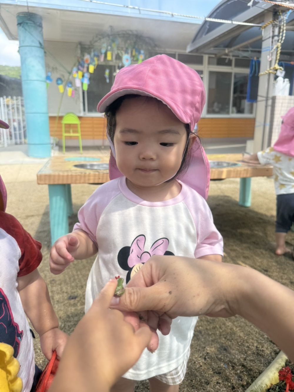 Sちゃんは気になるけど、触るのは怖い…
ちょっぴり葛藤しながらも、勇気をだして
近づいてみる姿がありました♡