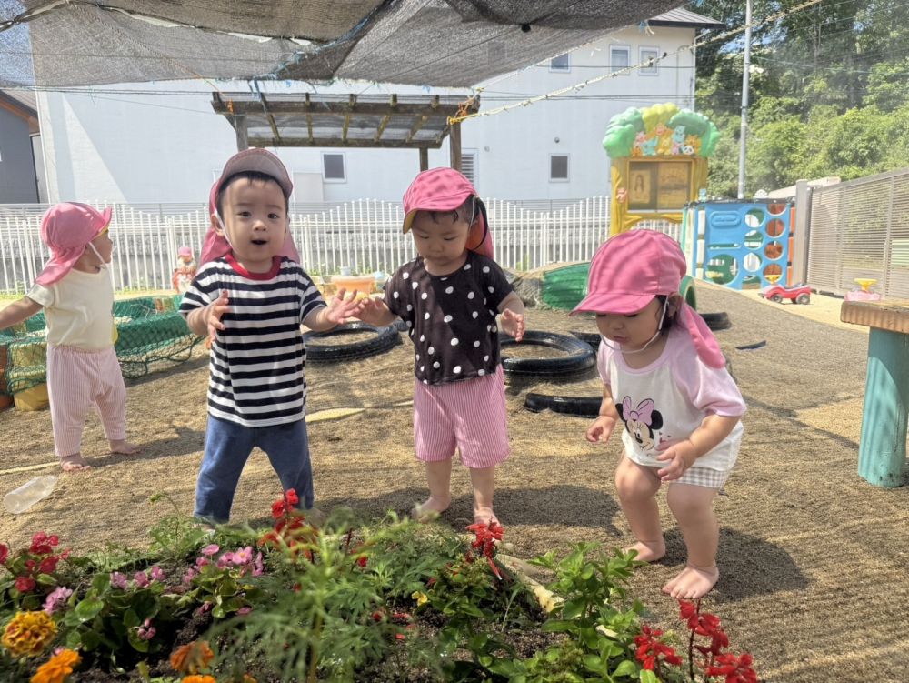 『ゲロゲロゲロゲロ  クワックワックワッ🎶』
みんなでカエルの歌の大合唱🎶

歌ったり、カエルの仕草をまねっこしたりと
遊びが広がりました！！！