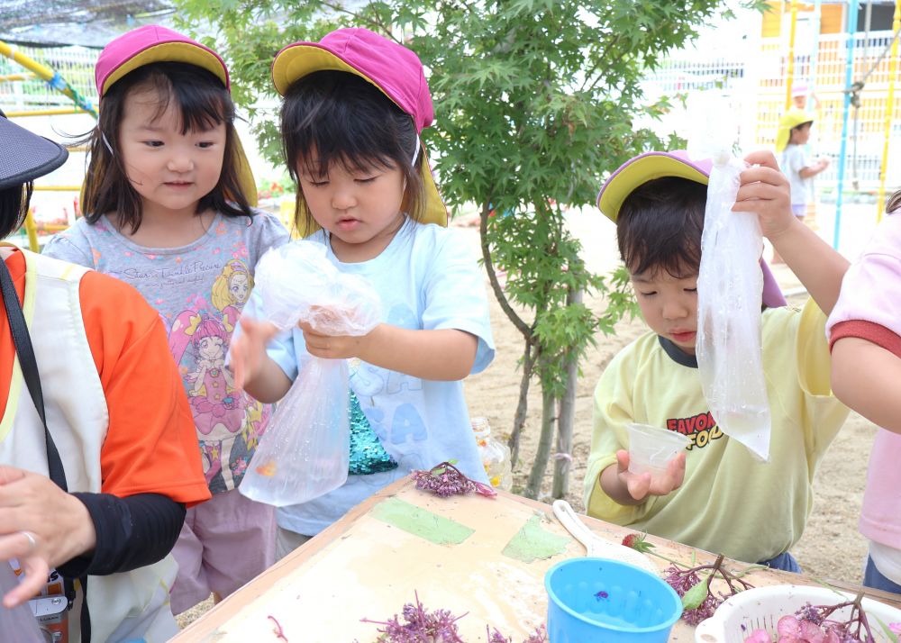 少しずつ夏も近づき、水に触れながら
楽しむ遊びが広がる♪
草花を使って色水遊びをやってみる！



　「どの花にしようかな～」
　「もうちょっと水も入れてみよっかな」
好きな花を選んで入れてみたり
水の量も考えてみたり…
いろいろ試してみる！