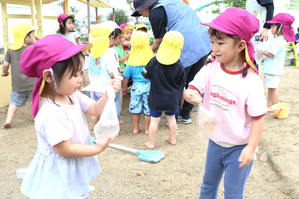 　「振ってみたら出るかね～」
　「みて！ピンクになってきょーる！」
振ってみたり、揉んでみたり…
色の出し方もそれぞれ♪

試して、気付いて、また試して…
楽しみながら学ぶ姿を大切に
していきたいです！
