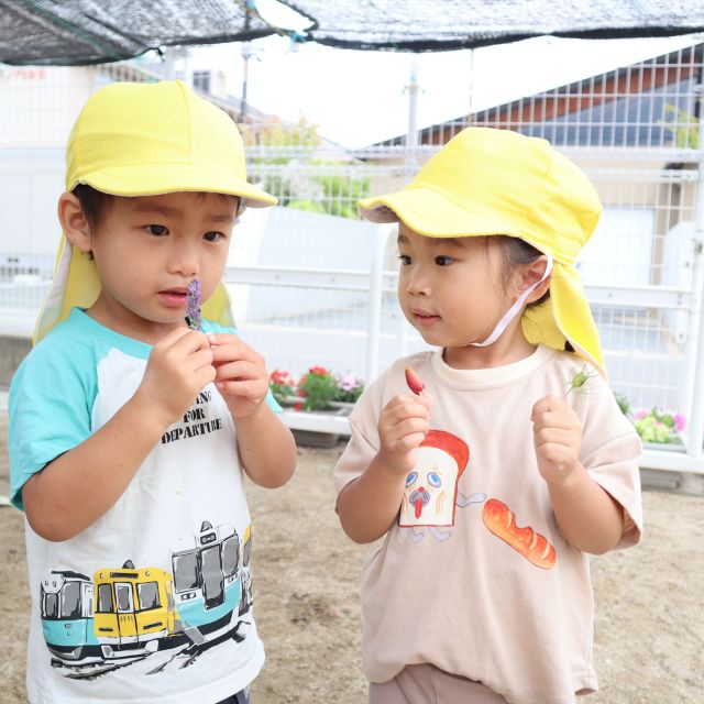 ＊　2歳児　ラベンダーの香りを楽しむ　＊