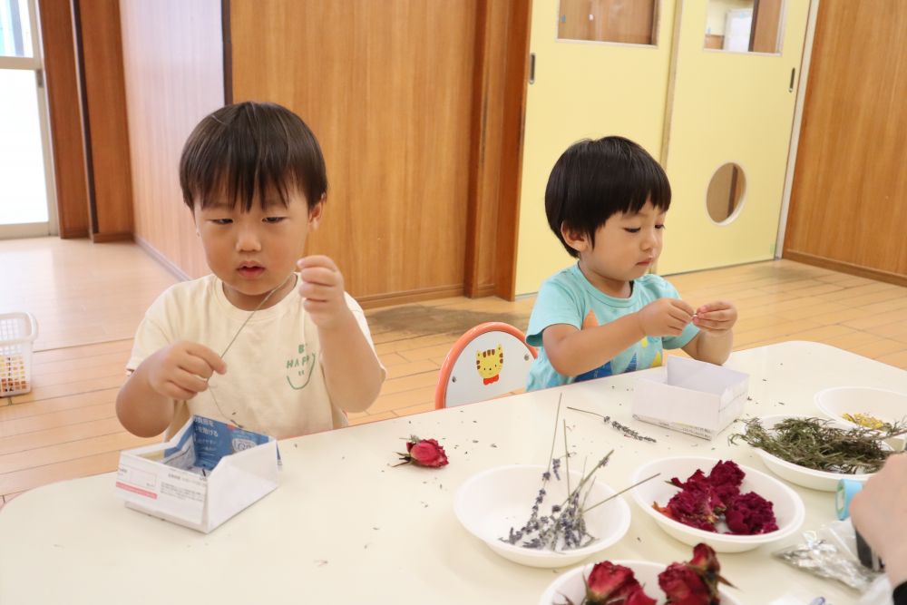 ラベンダーを丁寧にちぎっていくＳくんやYくん
はじめはラベンダーの花を難しそうにちぎっていましたが、上手に引っ張って花をとり、細かくちぎって、集中しながら最後まで作ることを楽しんでいました♡
