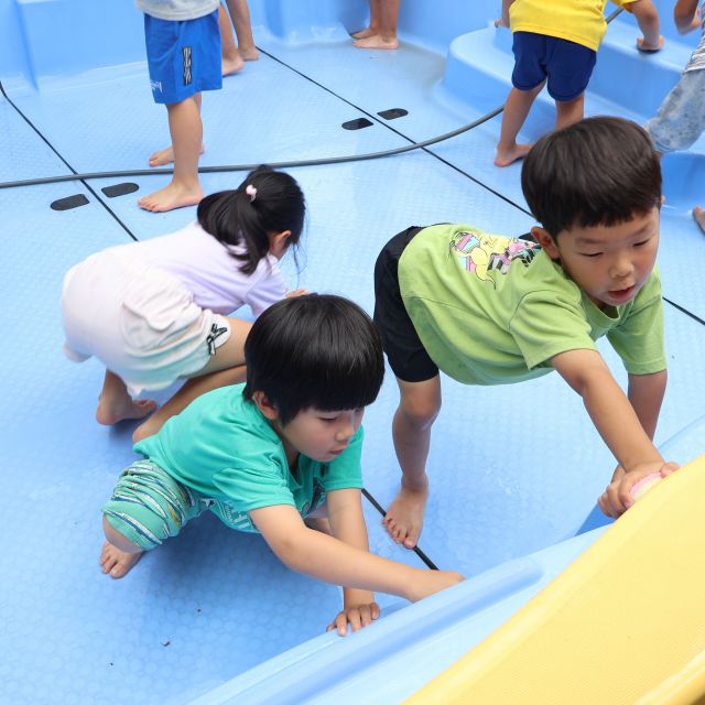 プール掃除　＊5歳児＊