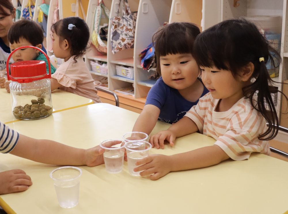 梅をつけて約3週間、梅ジュースの完成✨
みんなで　「かんぱぁい！！」