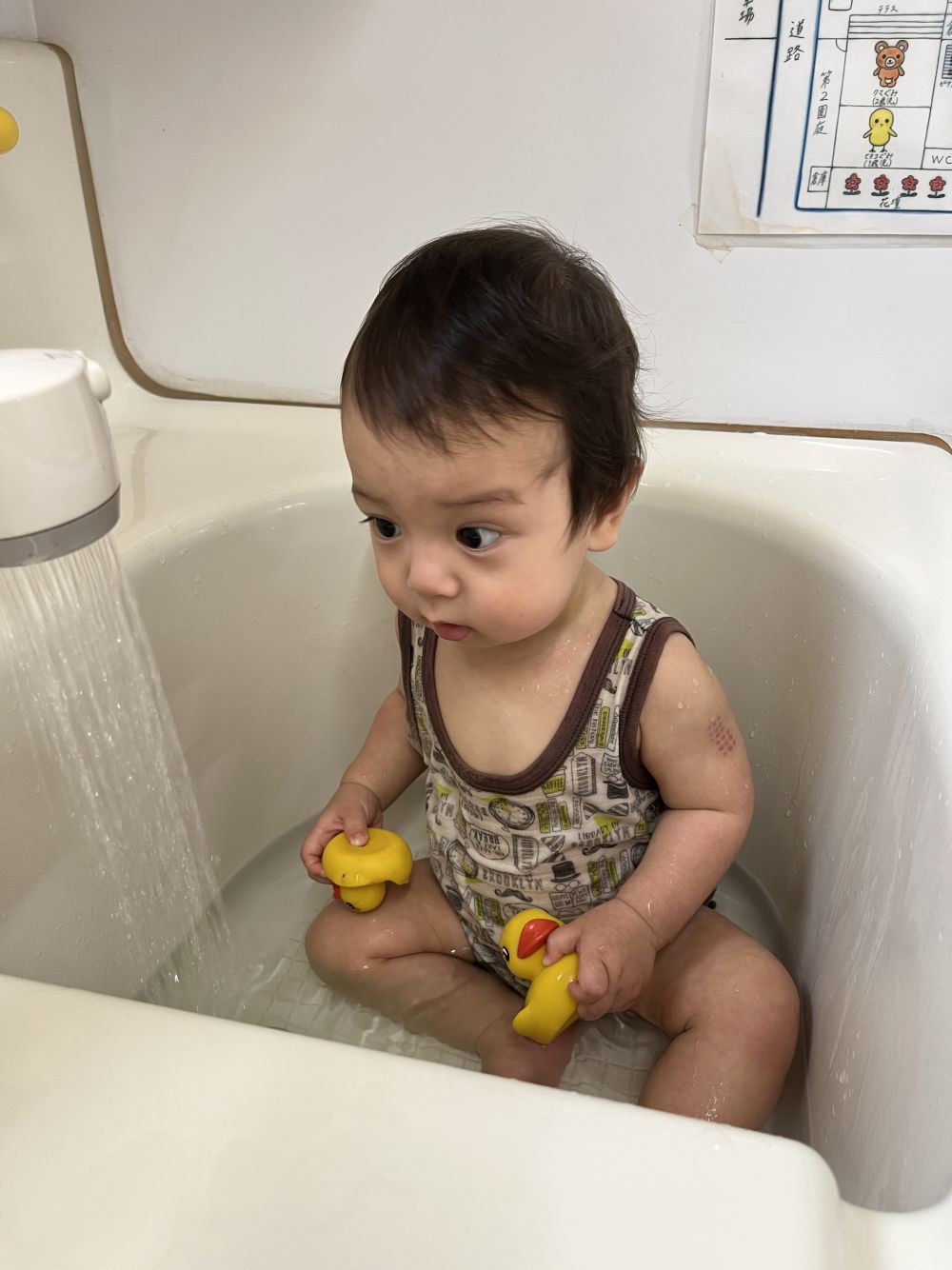 Kくんはシャワーを出すと
じーっと見つめてましたよ。
