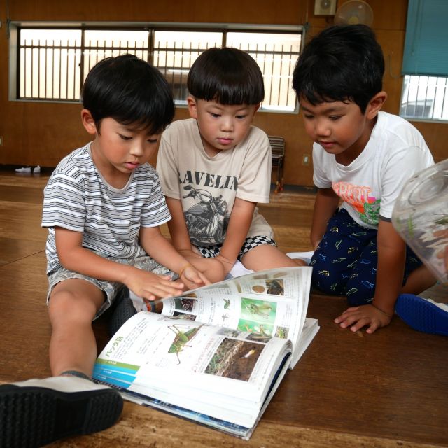 調べて…観察👀　＊５歳児＊
