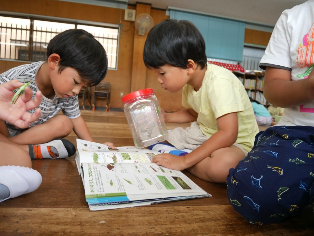 「あ！！あった！！」
「俺のバッタじゃない！！
キリギリスだって」
「口からなんか出しとる」
「目が黄色い」
気になったことはとことん調べて
たくさん観察してみんなの知識になっています

