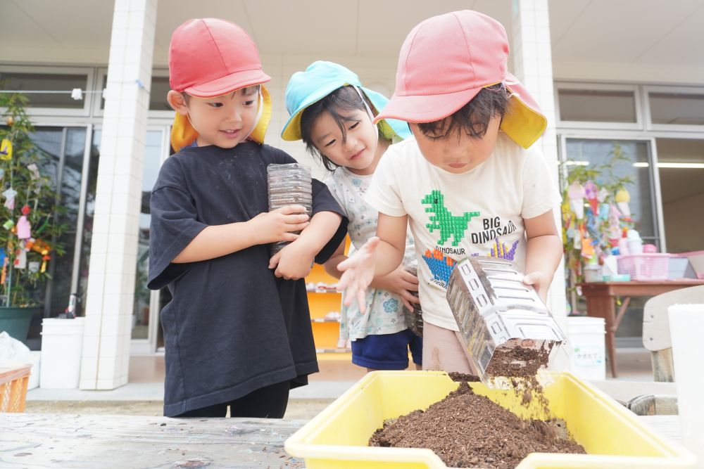 身近な自然に触れる中で生き物の不思議さや尊さに気づき、
命あるものを大切にする気持ちが育つよう日々関わっています

保護者の方から頂いたカブトムシの幼虫を
土をかえたり、うんちをとったり、霧吹きで水をあげたり・・
昨年の夏頃から先生と子どもたちで一緒に育て
毎日少しずつ産まれて15匹ほど無事成虫に♡

「うわーーーーー！！カブトムシ！」
「うまれた！土からでてきとる！！」
「嬉しいね！かっこいい！！」

奇形で産まれたカブトムシがいたり
上手くカブトムシなれた成虫がいたり・・
どんな姿であっても大切に関わろうとする姿も・・

