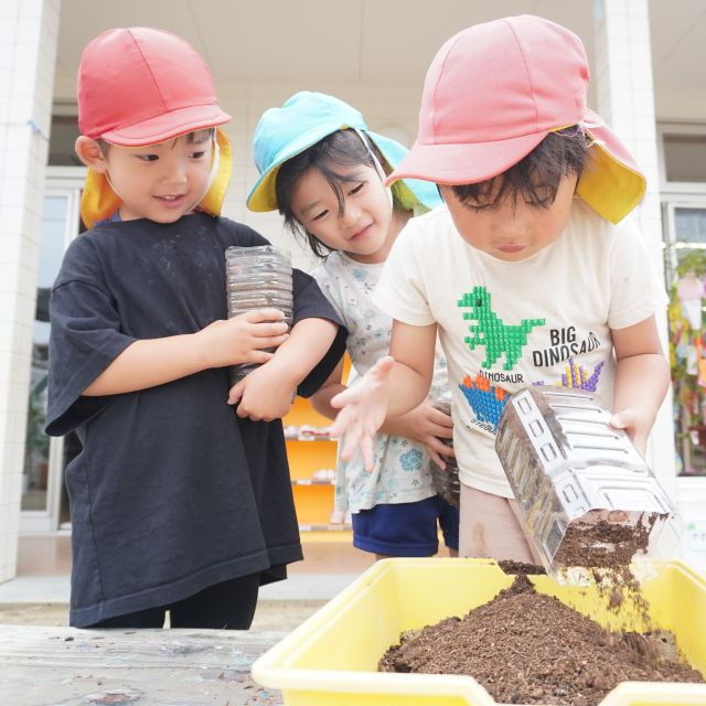 ＊	4・５歳児　カブトムシ誕生　＊