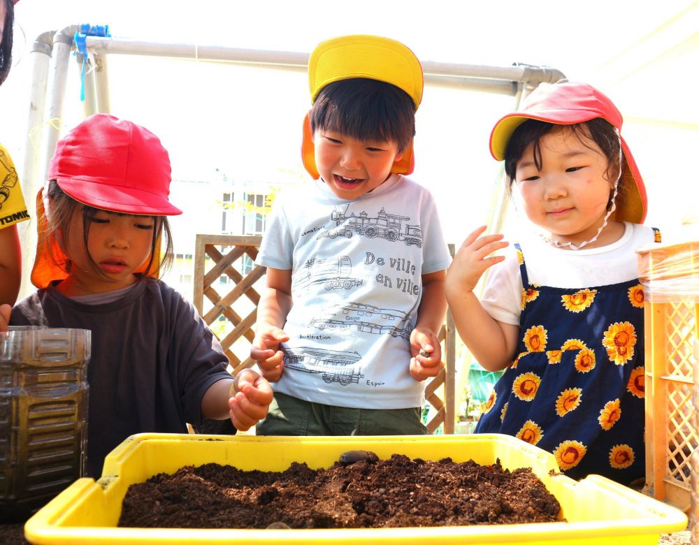 「羽が他のとなんか違うね」
「なんでこうなったんかね・・？」
「痛くないんかね・・ちょっとかわいそう」

「次はメスがでてきた」
「角がないのがメスよ！おんなのこ」

疑問に感じた事や発見を言葉で伝え合う姿

