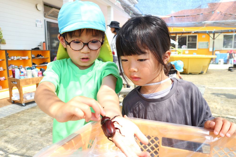 「短い角を持ってあげたらいいんだよ。その方がカブトムシ嬉しんだって」
「そうなん、知らんかった！」

虫のことを思う気持ち♡素敵です
