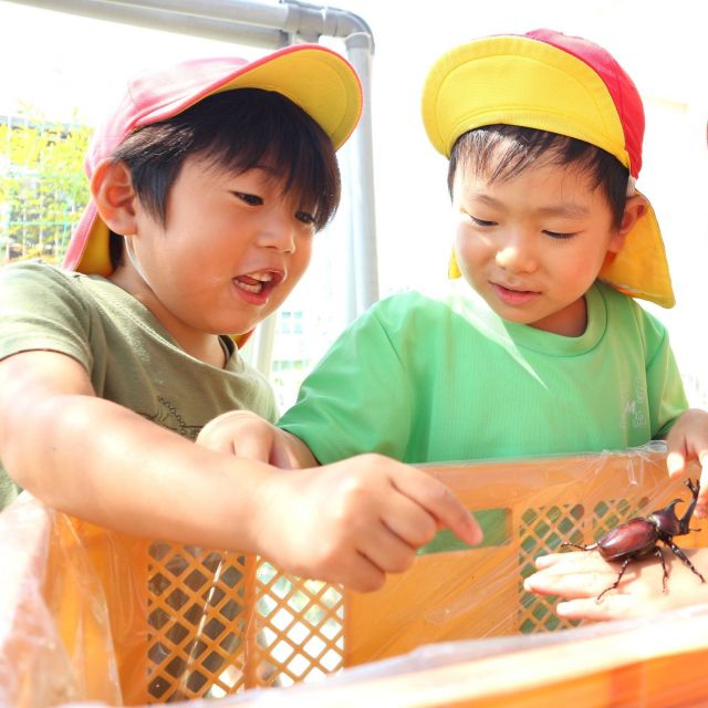 ＊	4歳児　カブトムシのおうち作ろう①　＊
