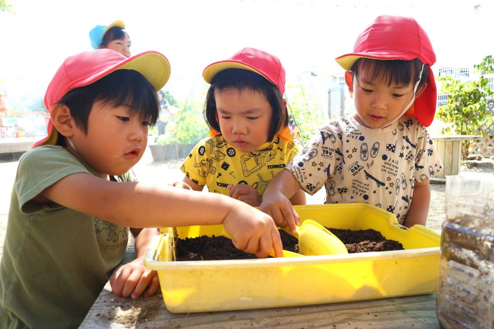 「カブトムシの家作るのに何がいるかね？」
「んー、まずは入れ物とか、土とか？」

—　土はあるけど、うんちがいっぱいあるからどうする？　—
問いかけると・・
「とってあげよう！」
スコップでとったり、ふるいで振ってとったり・・
カブトムシの為にやり抜く姿
