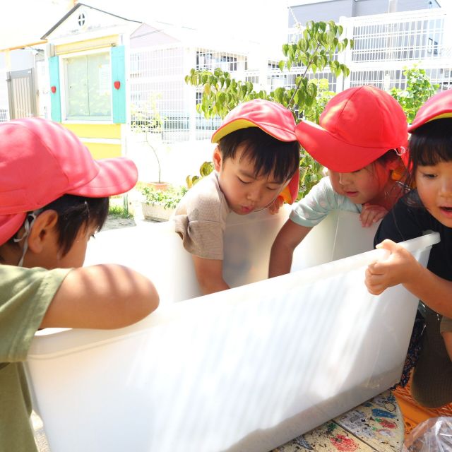 ＊	4歳児　カブトムシのおうち作ろう②　＊